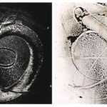 "Disjointed Diptych #1"; Silver gelatin photographic chemigrams; 10" x 16.5"; 2019