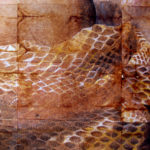 "Feather Lady" (detail 1); Hand-colored inkjet photograph on tea bags, mounted on wood; 24" x 20" x 1.5"; 2010