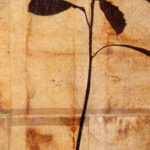 "Three Tries" (detail 2); Hand-colored inkjet photograph on tea bags, mounted on wood; 20" x 24" x 1.5"; 2010