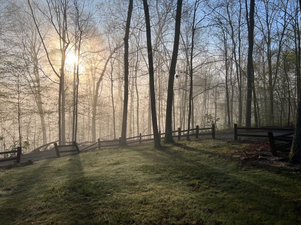 sunrise