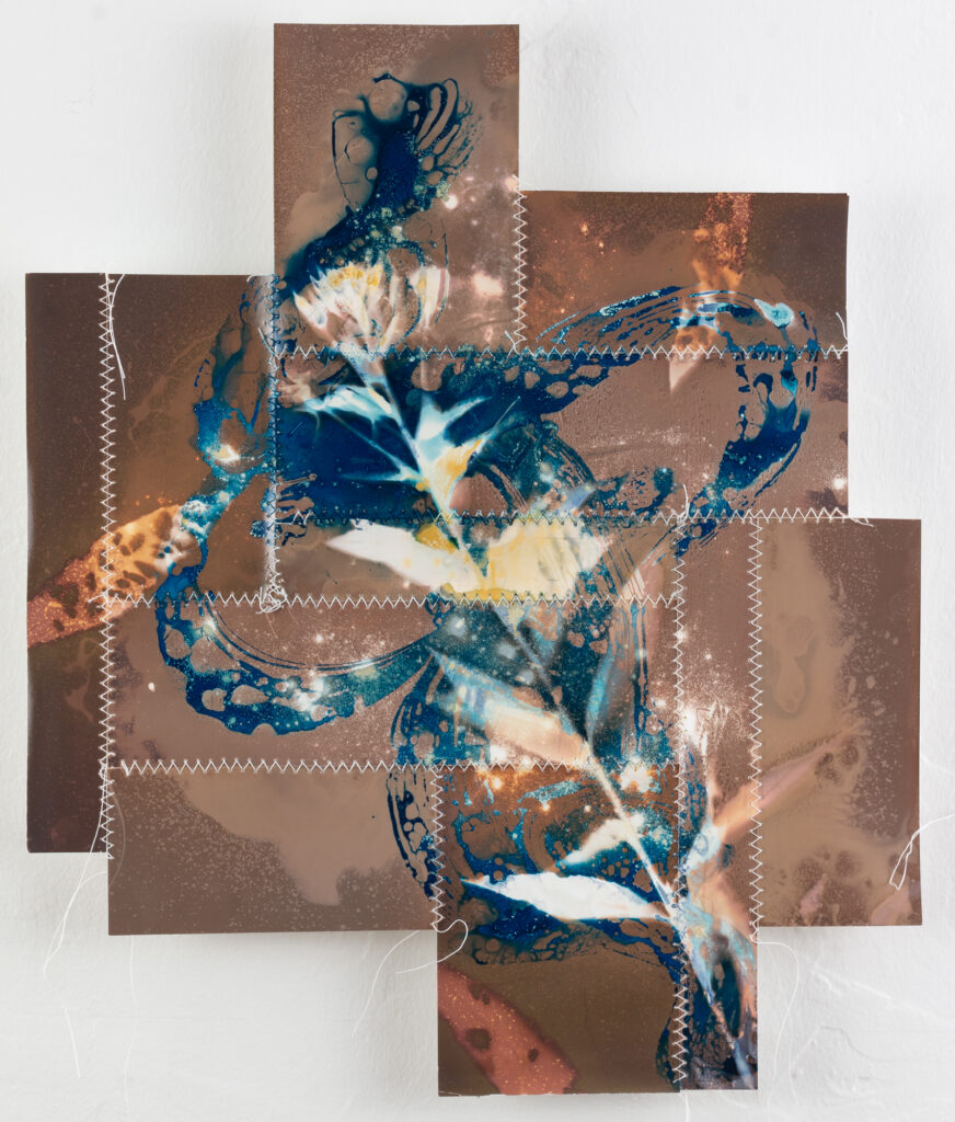 "New Land Studies (Evening Primrose)"; Silver gelatin cyanolumen prints, thread, turmeric; 13" x 11"; 2024