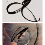 “Contiguous Diiptych #7″; Silver gelatin photographic chemigrams; 16.5″ x 10”; 2026