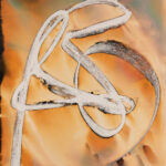 “Gesture #29″; Silver gelatin photographic chemigram; 14″ x 11”; 2026